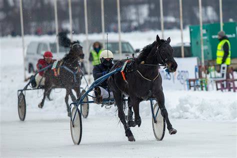Dusetų hipodromo trasa ir dalyvių startas