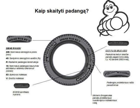 schematinis padangos žymėjimo pavyzdys su paaiškinimais