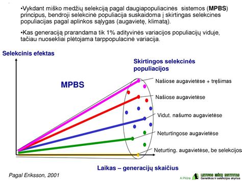Infografika, iliustruojanti 
