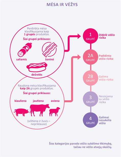 Infografika apie antikorozinio grunto cheminę sudėtį ir poveikį