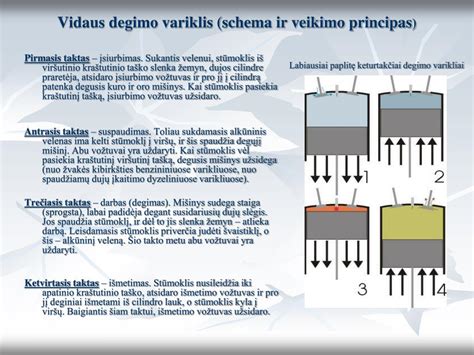 infografika: vakuuminių žarnelių tikrinimo svarba dyzeliniuose varikliuose