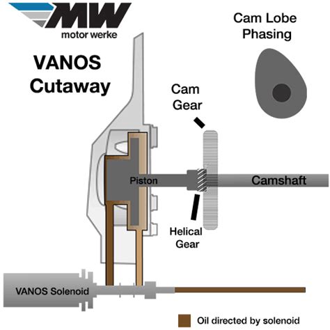 Diagram of BMW VANOS system components