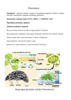 Purškimo proceso schema