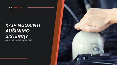 scheminis aušinimo skysčio išsiplėtimo bakelio vaizdas su žarnų jungtimis ir lygio žymomis