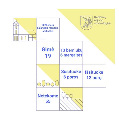 Infografika, vaizduojanti elektroninių aukcionų procesą ir statistinius duomenis