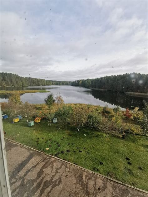 apvirtęs keturratis ant kranto prie tvenkinio