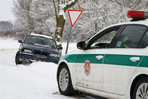 infografika: pagrindinės eismo įvykių priežastys Trakų rajone (greičio viršijimas, neblaivumas, pavojingas vairavimas)