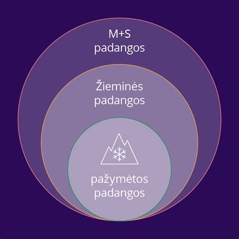Padangų pirkimo internetu schema: peržiūra, pasirinkimas, pristatymas