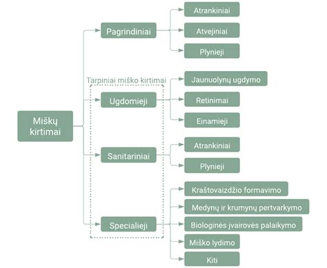 Ispaniškų vynų kokybės klasifikacijos infografika