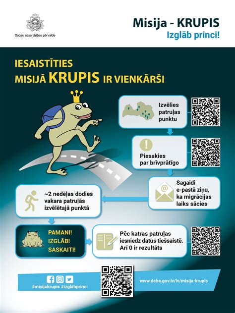 Infografika: rūdžių surišėjo ir gruntų naudojimo etapai
