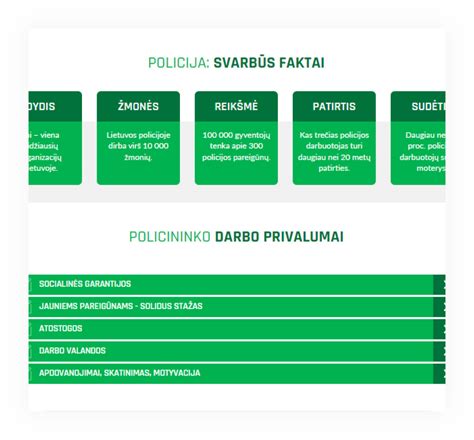 infografika apie maršruto analizės procesą ir dokumentų teikimo tvarką