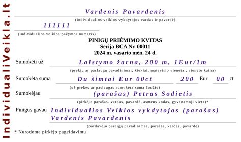 infografika: baudos kvito išrašymo procedūra ir mokėjimo terminai