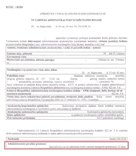 Vairavimo žaidimo sąsajos pavyzdys