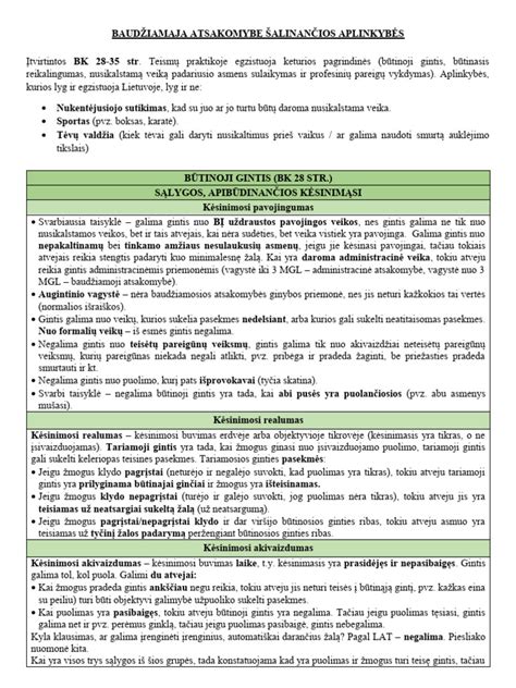 Schema, iliustruojanti baudžiamąją atsakomybę pagal padarinių sunkumą ir kaltininko būklę (blaivus/neblaivus)