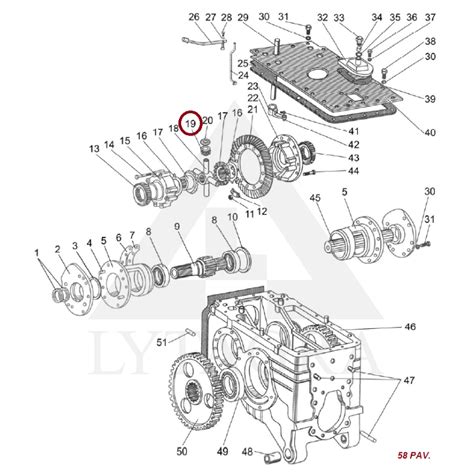 Automobilio galinio tilto diferencialo schema