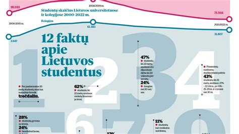 Infografika apie leistinas promiles skirtingoms vairuotojų kategorijoms ir baudas