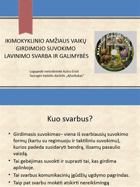 Vairuotojo aplinkos suvokimo svarba