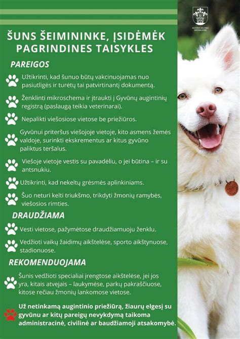 Infografika: taisyklės vedžiojant šunį viešojoje vietoje (pavadėlis, antsnukis, ekskrementų surinkimas)