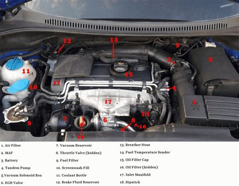 Infographic or diagram of Skoda Octavia engine options