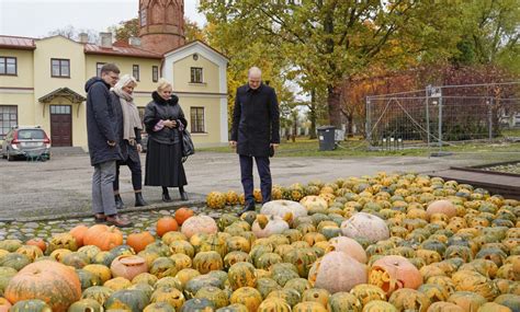 Nuotrauka, vaizduojanti moliūgų žibintus dvaro parke