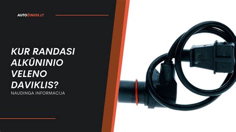 Schematinis alkūninio veleno padėties daviklio veikimo principas