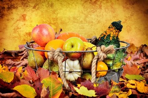 rudens derliaus atributika: vaisiai, daržovės, grūdai