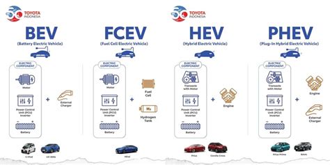Elektrinių ir hibridinių transporto priemonių skaitmeninė infografika: palyginimai BEV, PHEV, FCEV