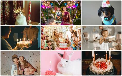 Logotipai ir trumpi apibūdinimai BOECKMANN, BRENTEX, WENA ir NEPTUN priekabų gamintojų