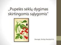 Grafikas su degalų sąnaudomis skirtingomis sąlygomis