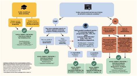 Schema, rodanti dažniausiai pasitaikančias avarijų priežastis miesto sankryžose
