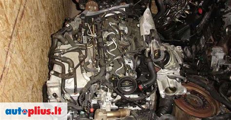 Mechanikas apžiūri „Audi A3“ variklio skyrių ir generatorių