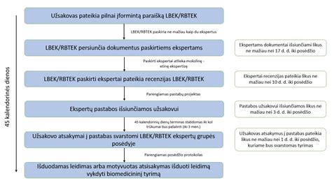 Infografika: Ilgo laikotarpio leidimų išdavimas ir laukimo eiga