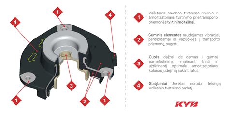 Infografika: Amortizatoriaus tvirtinimo funkcija ir pakabos sistema