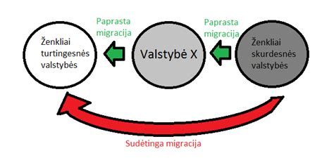 schema, rodanti vario kaupimąsi kepenyse ir smegenyse dėl sutrikusio ATP7B geno veikimo