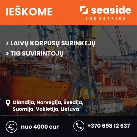 Dokumentų sąrašo infografika profesionaliam vairuotojui dirbti užsienyje
