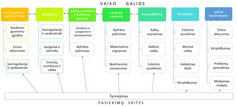 Interaktyvi infrastruktūros schema: keltuvų tipai, jų galios ir platinimo vietos