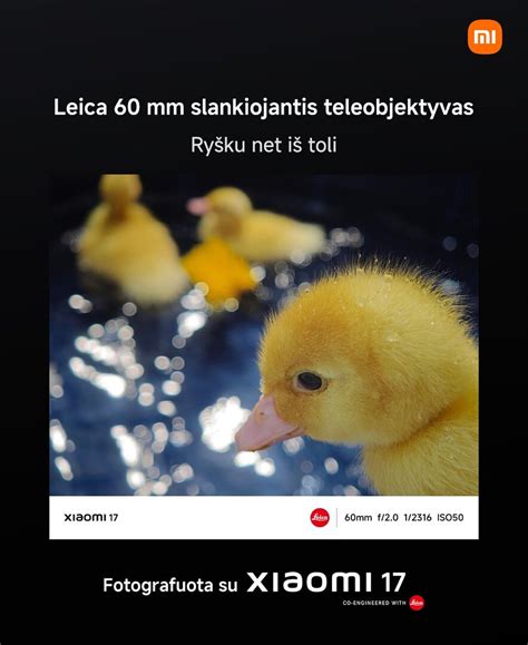 Infografika: V2L įranga ir ryšiai su įrenginiais