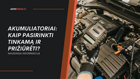 Infografika: patarimai, kaip pasirinkti ir naudoti automobilio oro gaiviklius