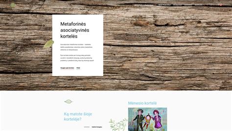 Internetinės parduotuvės sąsajos maketas