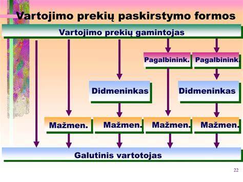 Infografika: Akumuliatorių pardavimo kanalų struktūra