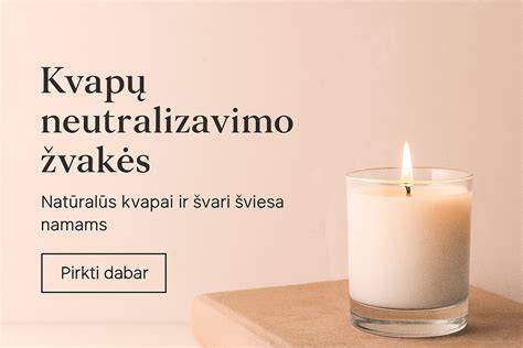 ozonavimo įranga ir kvapų neutralizavimo principas