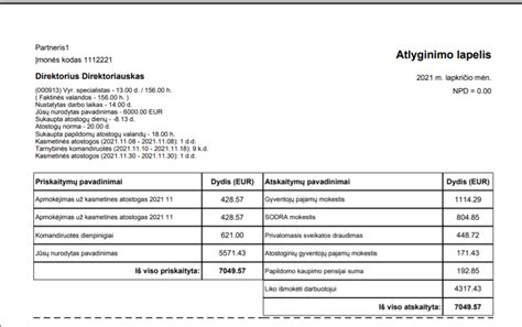 Vairuotojas Petro lapkričio mėnesio atlyginimo lapelis