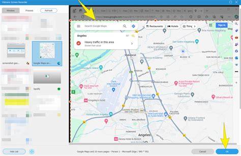 Screenshot: Google Maps atsisiuntimo langas 