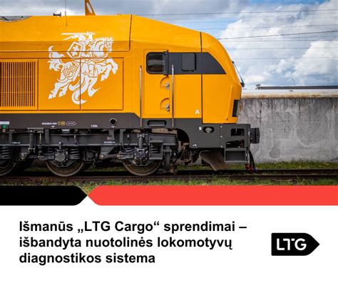 Nuotolinės diagnostikos sistemos veikimo principas