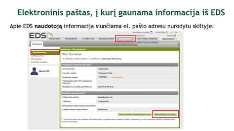 Elektroninio muitinės deklaravimo sistemos sąsaja