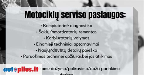 Infografika: automobilių serviso paslaugos
