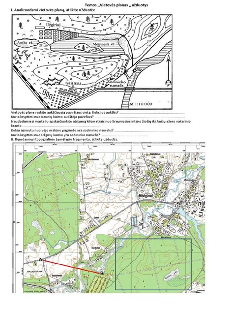 scheminis paros bioritmų vaizdavimas