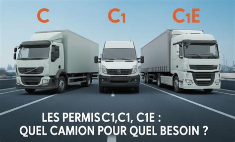 Infografika, lyginanti C, CE, C1 ir C1E kategorijas