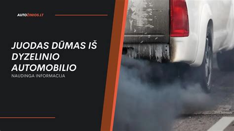 Infografika, iliustruojanti dyzelinio automobilio užvedimo procedūrą šaltu oru.