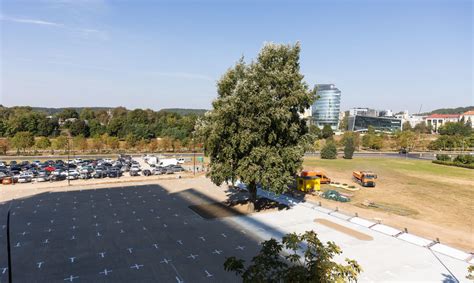 Tematinė nuotrauka: automobilių stovėjimo aikštelė prie Seimo Vilniuje